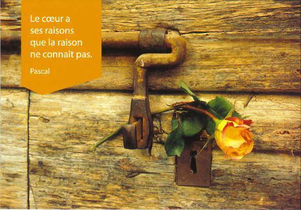 Carte simple - 10x15cm - Le coeur a ses raisons...