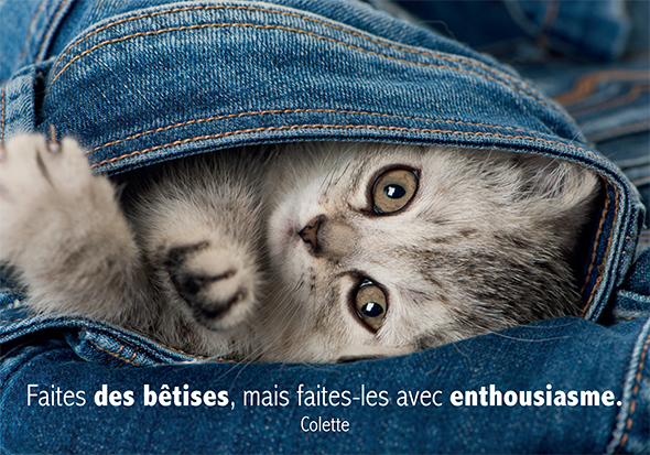 Kaart 10,5x15cm - Faites des bˆtises