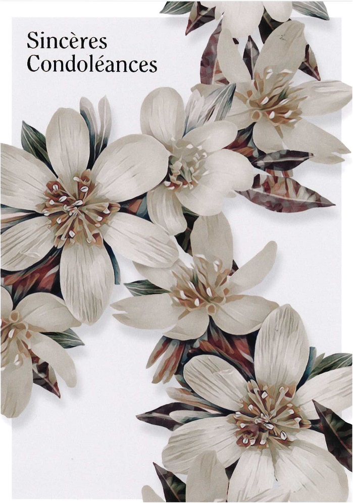 Dubbelkaart/omslag in cello - 12x17cm - Sincères Condoléances