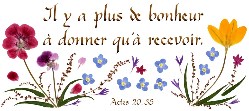 Carte série 'Citations - Le Bonheur' - 'Il y a plus de bonheur...' - 10,5x21cm + envel.