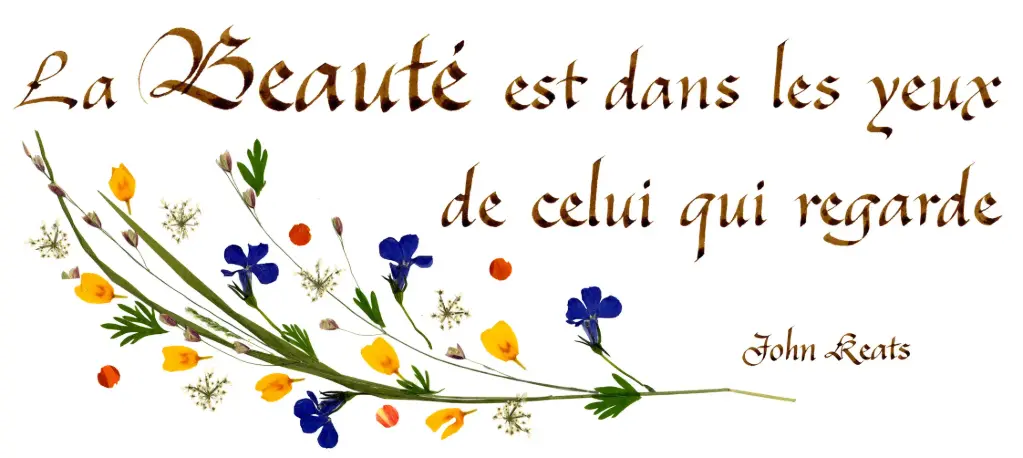 Carte série 'Citations - La Beauté' - 'La beauté est dans...' - 10,5x21cm + envel.