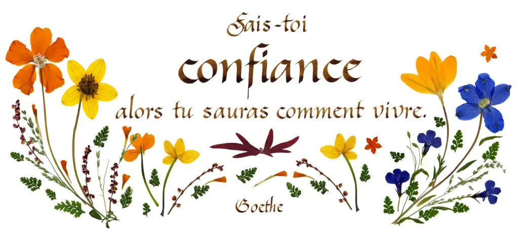 Carte série 'Citations - Sagesse' - 'Sais-toi confiance...' - 10,5x21cm + envel.