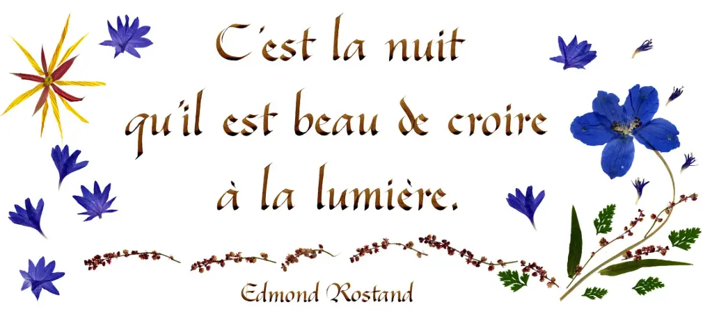 Kaart serie 'Citations - Divers' - 'C'est la nuit...' - 10,5x21cm + envel.