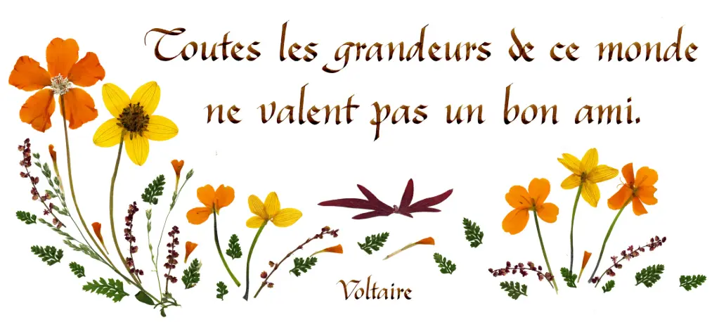 Kaart serie 'Citations - L'Amitié' - 'Toutes les grandeurs...' - 10,5x21cm + envel.