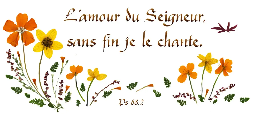 Kaart serie 'Citations - Psaumes' - 'L'Amour du Seigneur,...' - 10,5x21cm + envel.