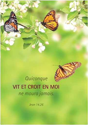 [CRT-21CS247] Carte simple 10,5x15cm - Quiconque qui vit et croit ...