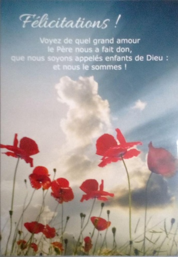 [CRT-21CS250] Carte simple 10x15cm - Félicitation, voyez de quel ...