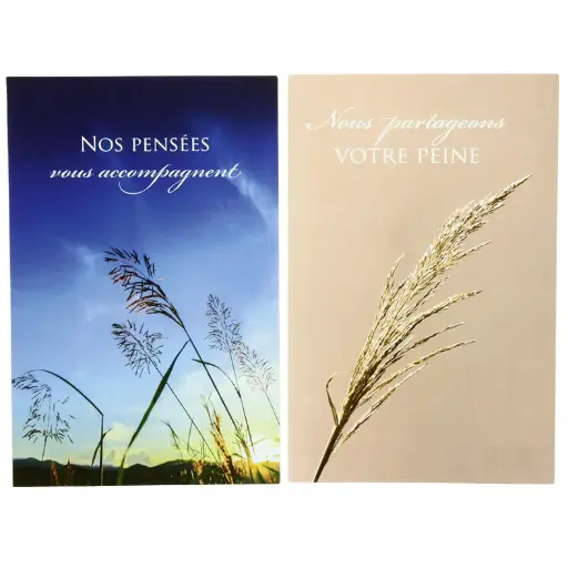 [CRT-21PC10] Pochette Sincères Condoléances - 2x3 cartes avec envelloppe