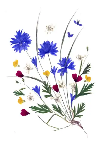 [PDO-00FL002] Dubbelkaart serie 'Fleurs séchées' - model 002 - 10x15cm + envel.