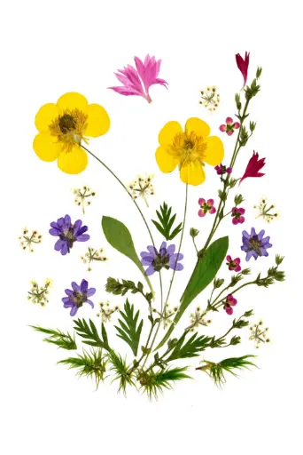 [PDO-00FL015] Dubbelkaart serie 'Fleurs séchées' - model 015 - 10x15cm + envel.