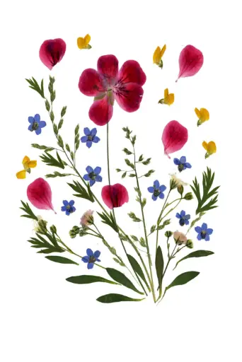 [PDO-00FL011] Carte double série 'Fleurs séchées' - model 011 - 10x15cm + envel.