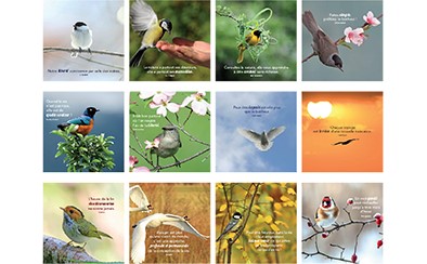 Calendrier perpetuel 13,4x15,4cm - Trace la vie