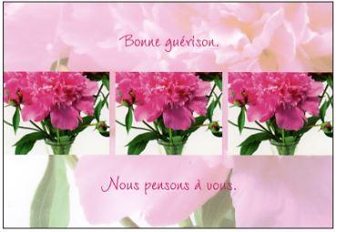 Carte double Bonne guérison. Nous...