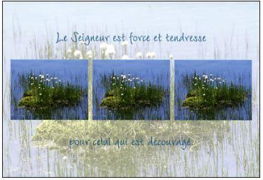 Carte double Le Seigneur est force...