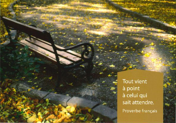 Carte simple - 10x15cm - Tout vient … point...