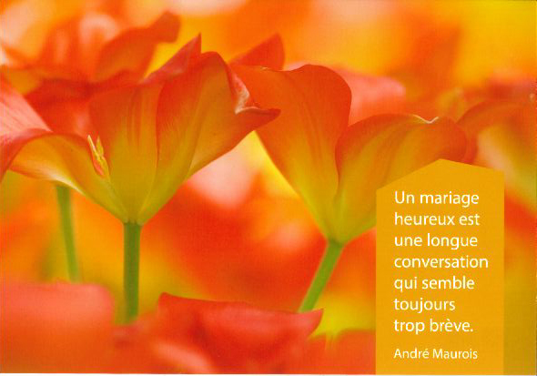 Carte simple - 10x15cm - Un Mariage heureux...