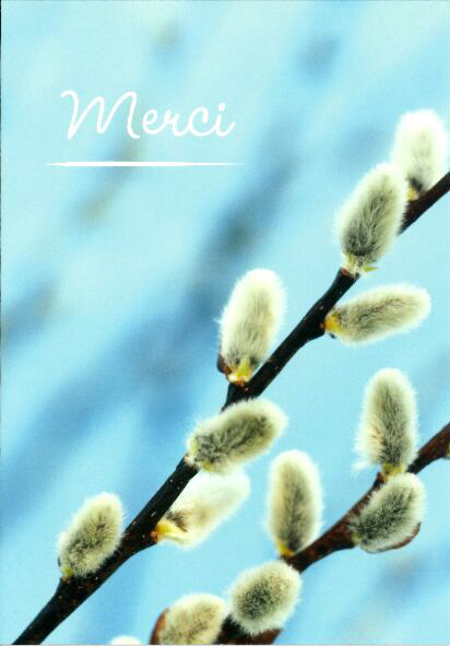 Carte simple - 10x15cm - Merci