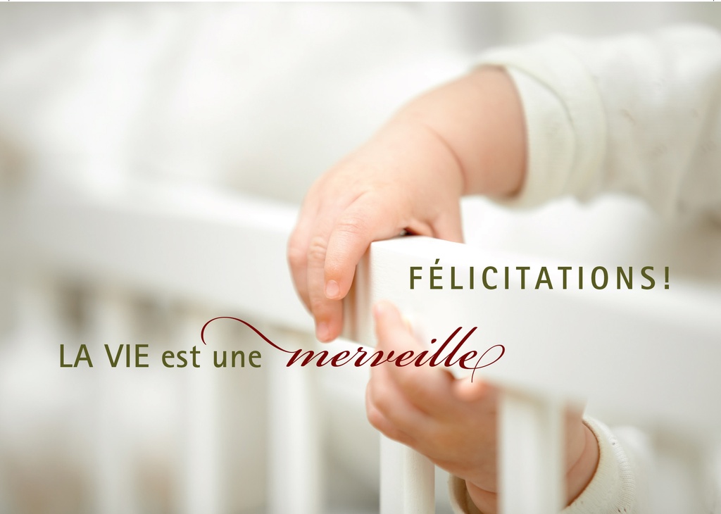 Carte simpele 10,5x15cm - Félicitations! La vie est une merv