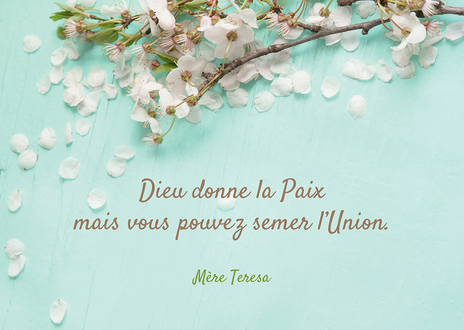 Carte simple - 10x15cm - Mère Térèsa 'Dieu donne la Paix ...