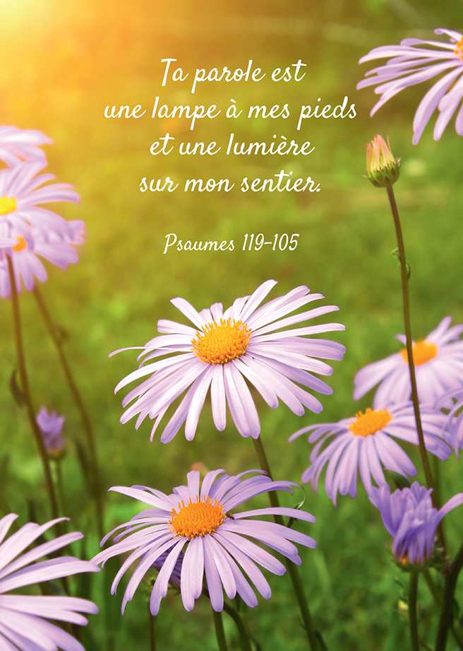 Kaart - 10x15cm - Ta parole est une lampe ... Ps 119-105