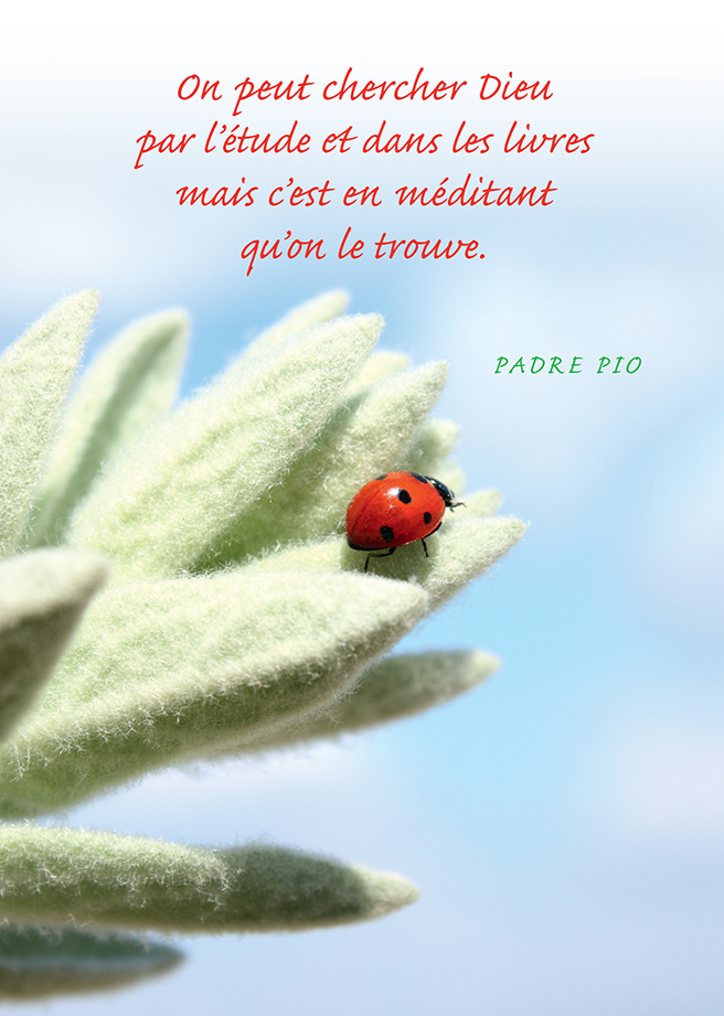 Carte simple - 10x15cm - Padre Pio 'On peut chercher Dieu ..