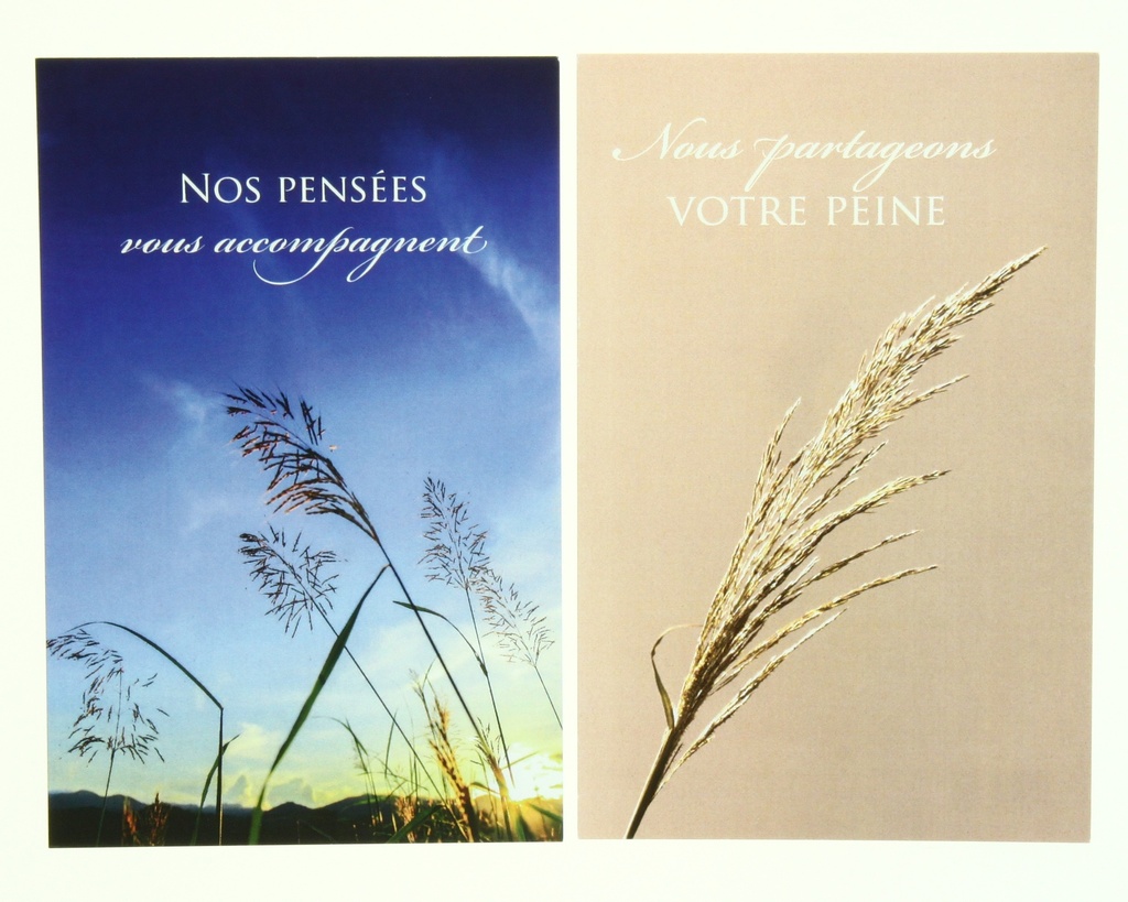 Pochette Sincères Condoléances - 2x3 cartes avec envelloppe