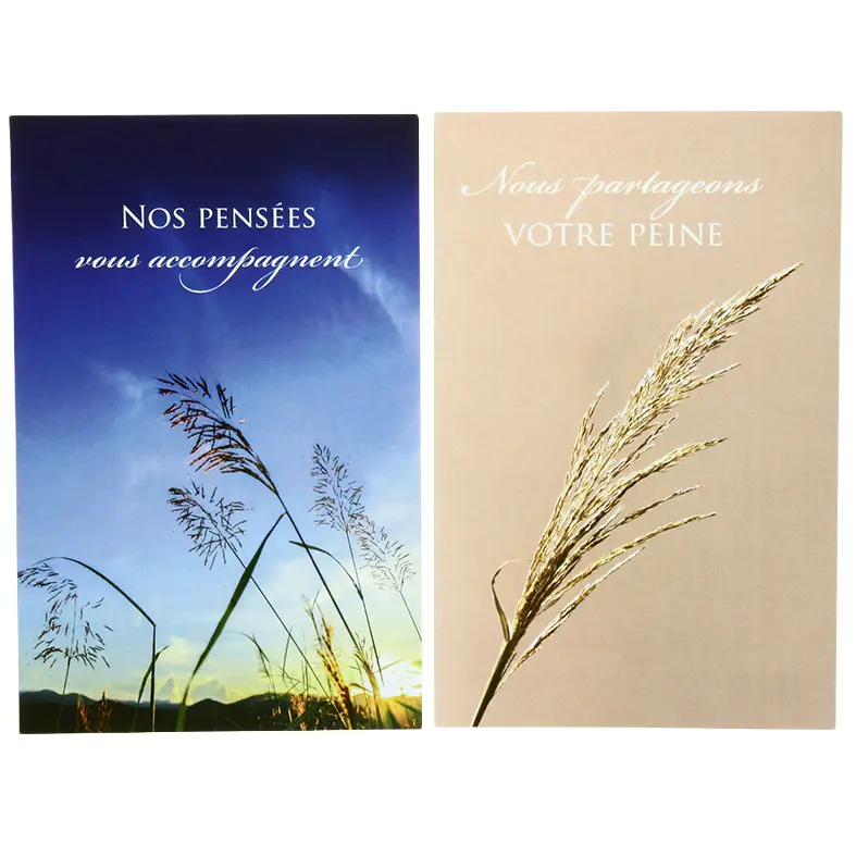 Pochette Sincères Condoléances - 2x3 kaarten met omslag