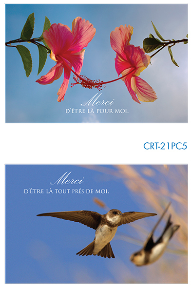 Pochette Merci - 2x3 kaarten met omslag
