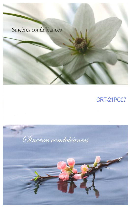 Pochette Sincères Condoléances - 2x3 cartes avec enveloppes