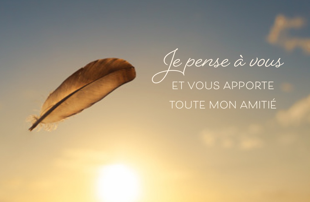 Pochette - Sincères Condoléances - 2x3 cartes avec enveloppe