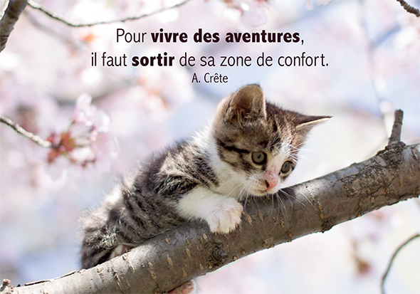 Kaart 10,5x15cm - Pour vivre des aventures