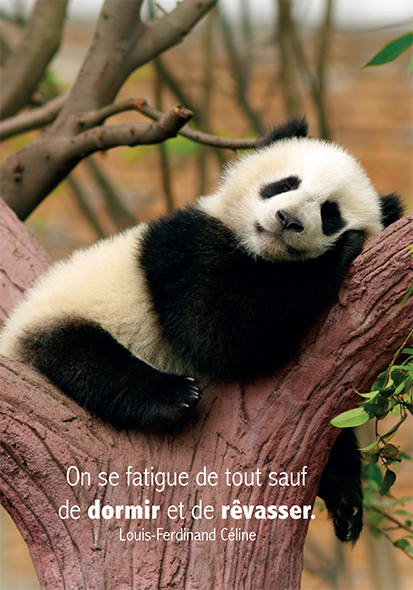 Kaart 10,5x15cm - On se fatigue de tout