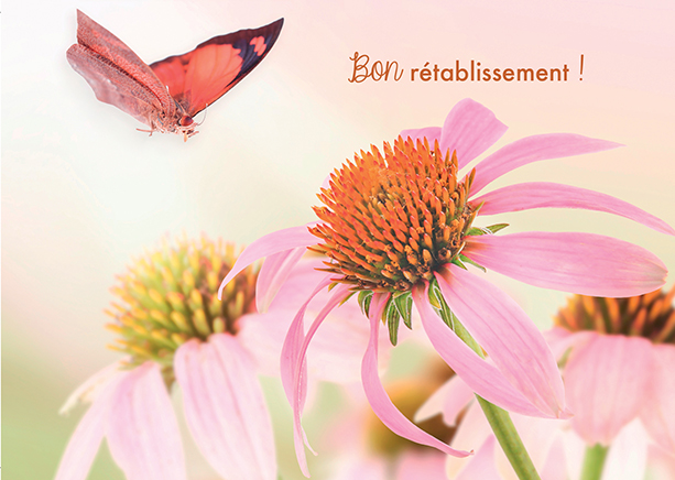 Carte simple 10.515cm - Bon rétablissement