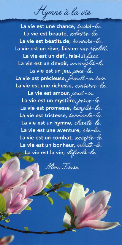 Tekstkaart 10,5x21cm + enveloppe - La Vie