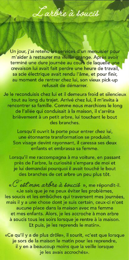 Tekstkaart 10,5x21cm + enveloppe - L'arbre … soucis