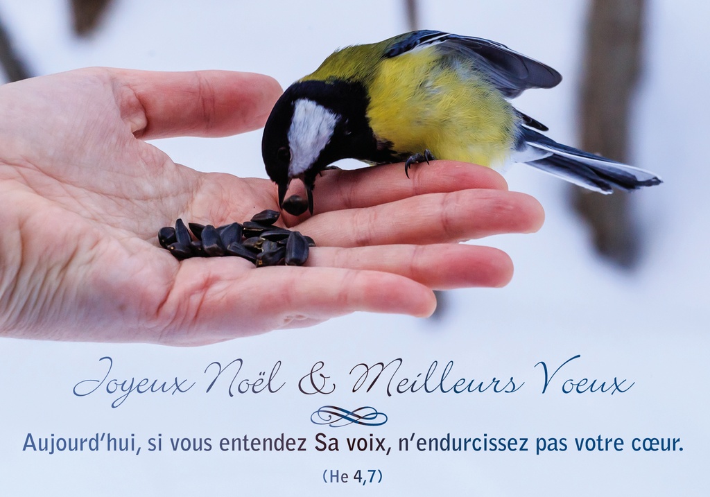 Kerstkaart 10,5x15cm - Joyeux Noël et Meilleures..