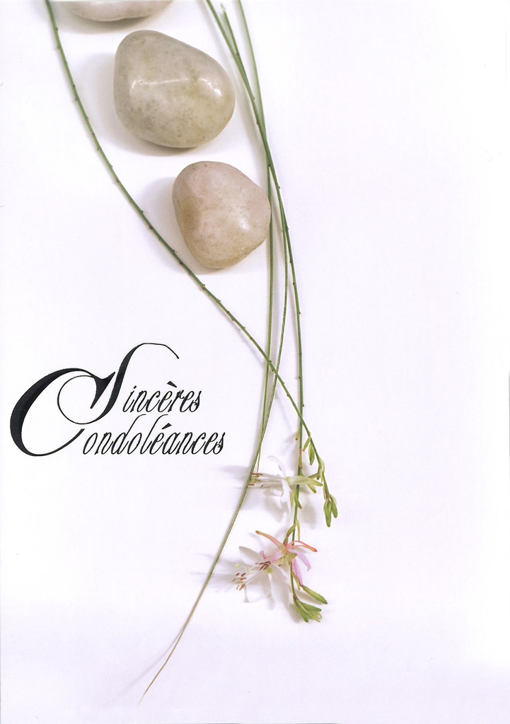 Carte double Sincères Condoléances - 12x17cm/cello+enveloppe