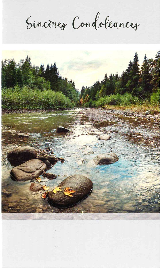 Wenskaart Sincères condoléances - 9,5x16cm/cello+omslag