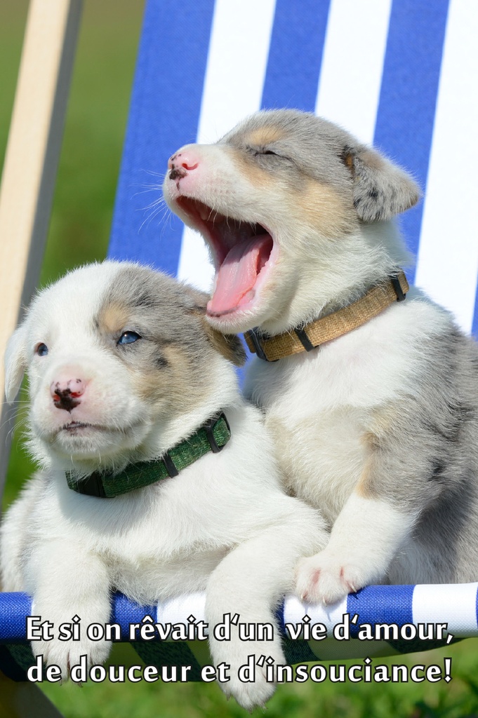 Postkarte 10x15cm - Motiv UK-91065 Texte 8