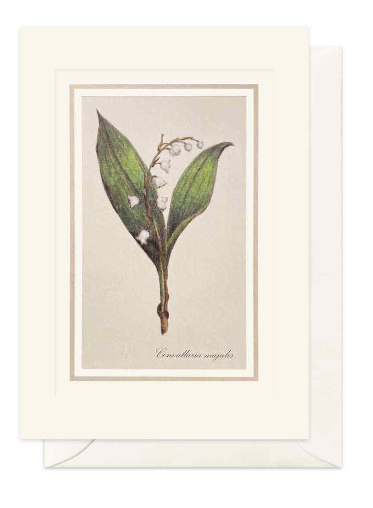 CARTE DOUBLE MUGUET 10,5*14,8 CM