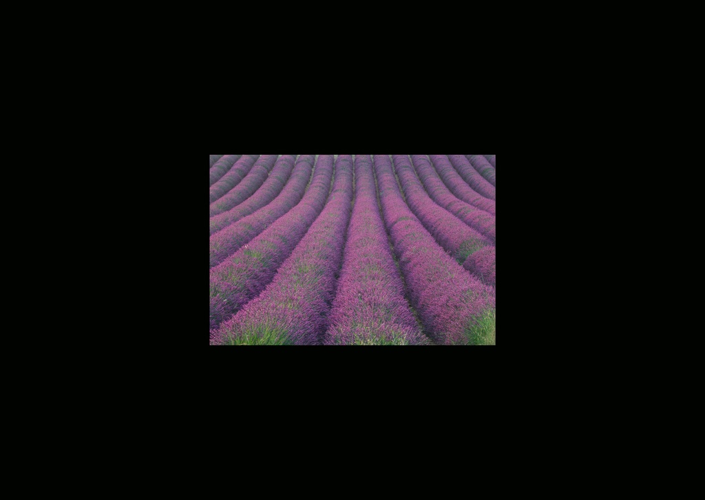 CARTES SIMPLES 10,5*14,8CM