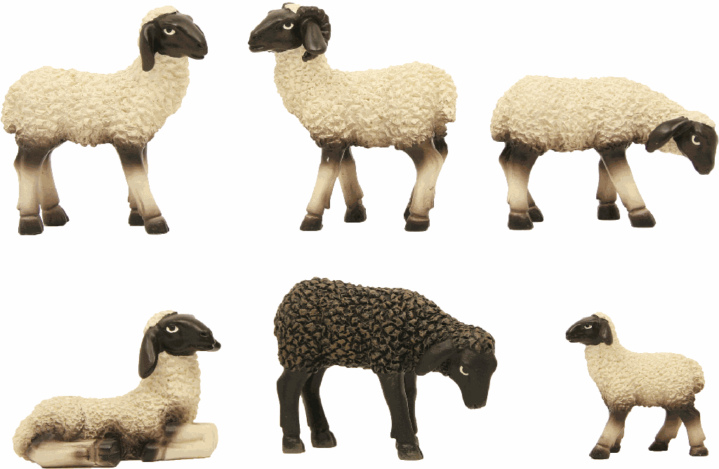 Set van 6 schapen H 5,3cm (voor fig. van H 9-11cm)