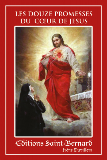 Boekje Les 12 promesses