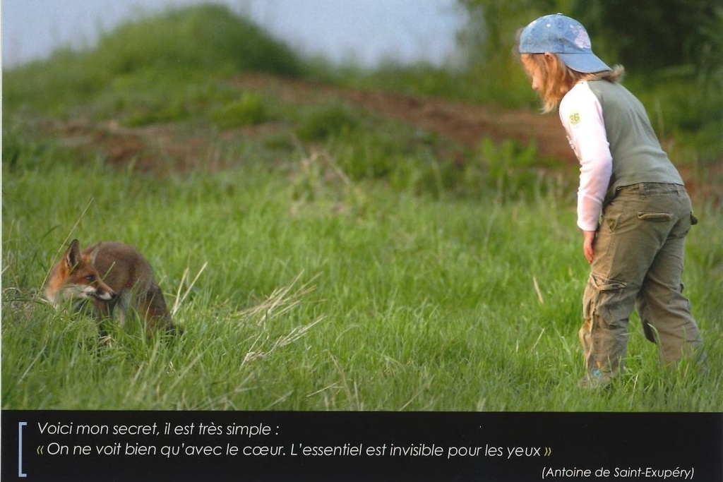 Voici mon secret, il est très simple:… (Antoine de Saint-Exupéry)