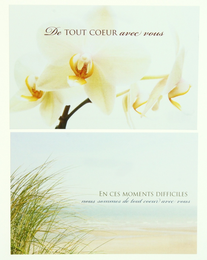 Pochette Condoléances - 2x3 kaarten met omslag