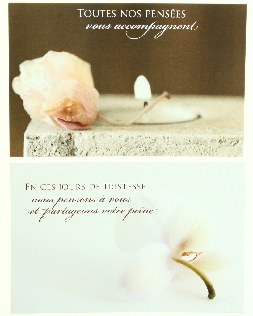 Pochette Condoléances - 2x3 Karte mit Umschlag in Blister