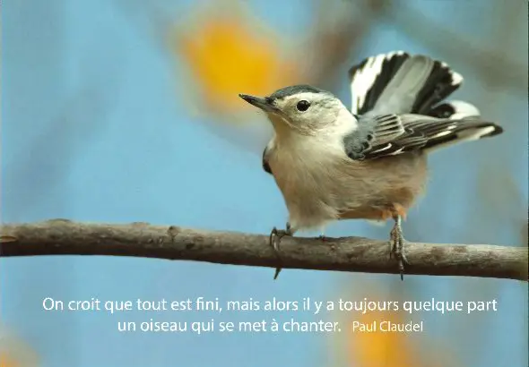 Frigomagnete - 55x80mm - On croit que ...