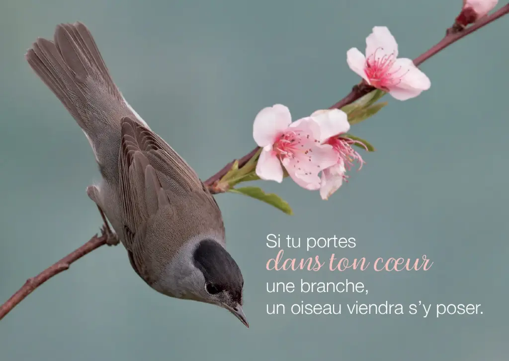 Magneet - 55x80mm - Si tu parles dans ...