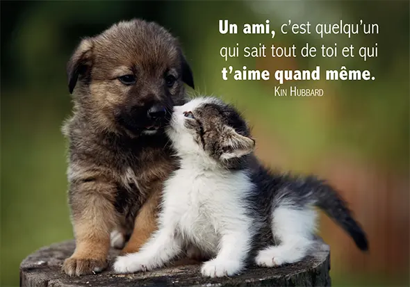 Onderzetter marmer - 10x10cm - Un Ami, c'est quelqu'un ...