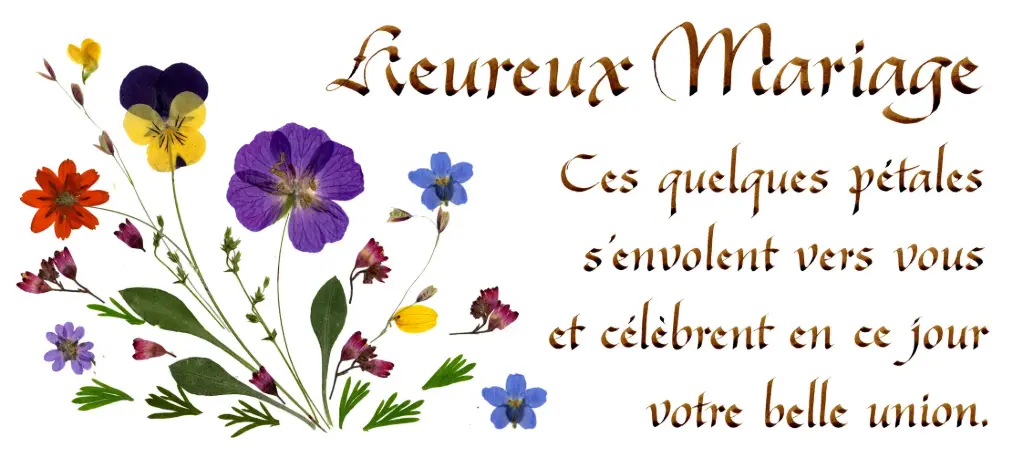 Kaart serie 'Citations - Le Mariage' - 'Ces quelques pétales...' - 10,5x21cm + envel.
